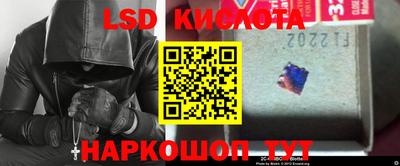 стаф Краснодар