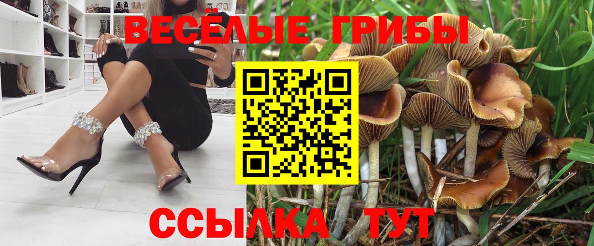 Псилоцибиновые грибы GOLDEN TEACHER Качканар