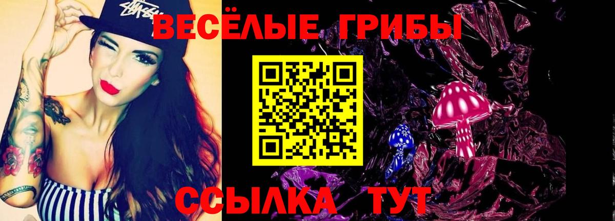 Галлюциногенные грибы Psilocybe Качканар