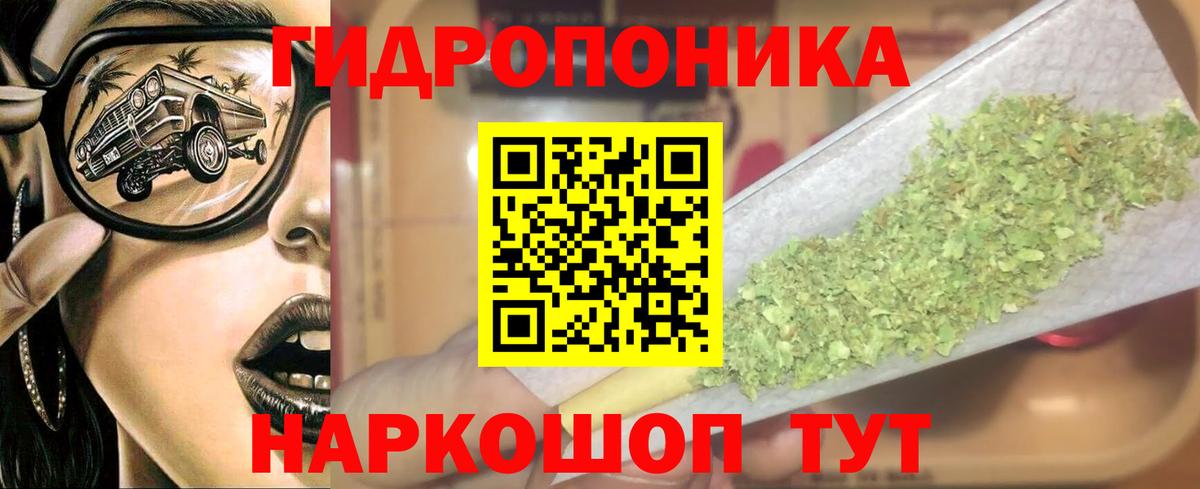 Бошки марихуана Bruce Banner  Бошки марихуана THC 21%  МАРИХУАНА Bruce Banner  Качканар 